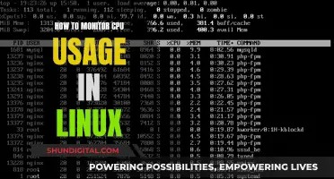 Monitoring Linux CPU Usage: A Comprehensive Guide