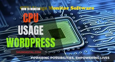 Monitoring CPU Usage: Optimizing WordPress Performance