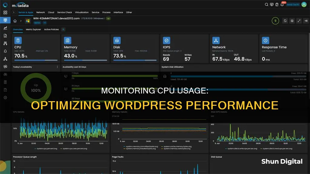 how to monitor cpu usage wordpress