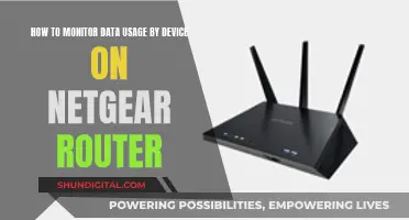 Monitoring Data Usage: Netgear Routers and Devices