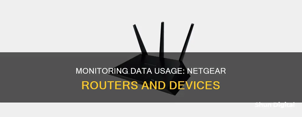 how to monitor data usage by device on netgear router