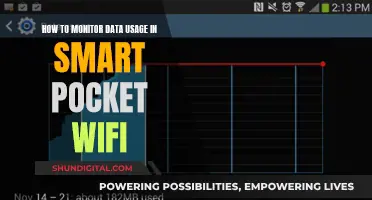 Smart Pocket WiFi: Monitor Data Usage Efficiently