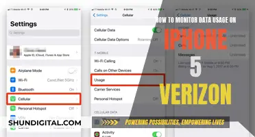 Monitoring Data Usage on iPhone 5: Verizon Guide