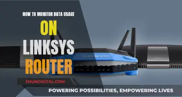 Monitoring Data Usage: A Guide for Linksys Routers