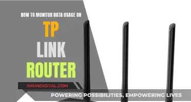 Monitoring Data Usage: TP-Link Router Guide