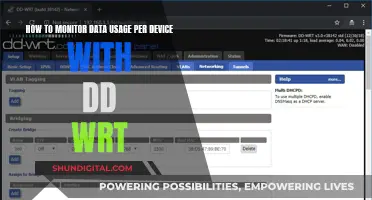 Monitoring Data Usage: DD-WRT for Device Control