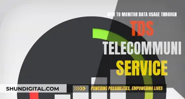 Monitoring Data Usage: TDS Telecommunications Service Guide