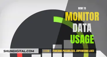 Monitoring Data Usage: Strategies for Effective Data Management