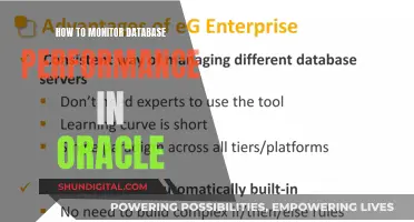 Monitoring Oracle Database Performance: Tips and Tricks