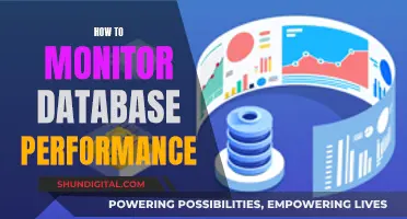 Monitoring Database Performance: Strategies for Success