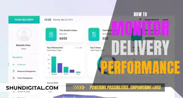 Monitoring Delivery Performance: Strategies for Success