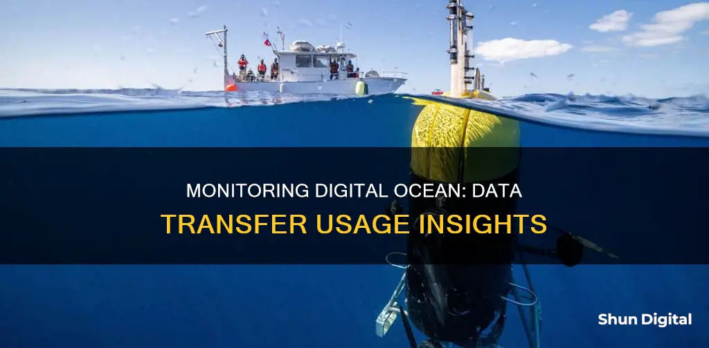 how to monitor digital ocean data transfer usage