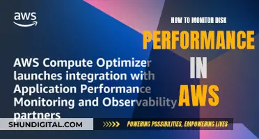 Monitoring Disk Performance in AWS: Key Strategies