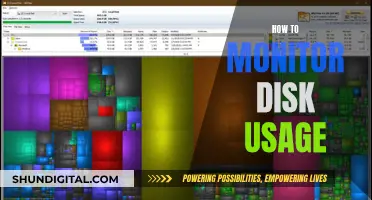 Monitoring Disk Usage: Strategies for Efficient Data Management