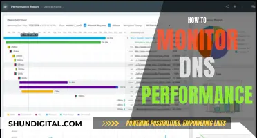 Monitoring DNS Performance: Strategies for Optimal Network Health