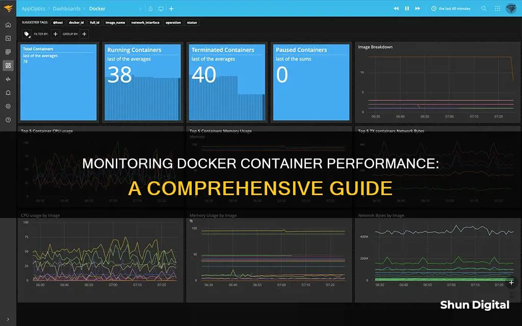 how to monitor docker container performance