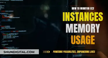 Monitoring EC2 Memory Usage: A Comprehensive Guide