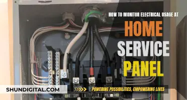 Monitoring Home Electrical Usage: Service Panel Edition