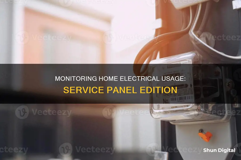 how to monitor electrical usage at home service panel