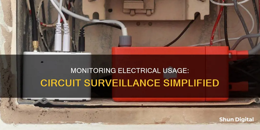 how to monitor electrical usage on a circuit