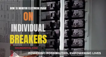 Monitoring Electrical Usage: Individual Breakers and Their Secrets