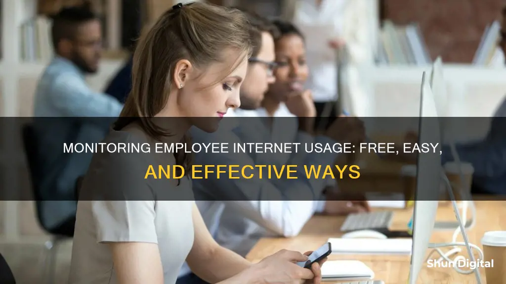 how to monitor employee internet usage free