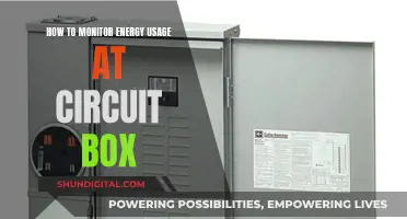 Monitoring Energy Usage: Circuit Box Insights