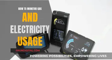 Monitoring Gas and Electricity Usage: Smart Meter Revolution