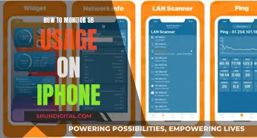 Monitoring iPhone GB Usage: Tips and Tricks