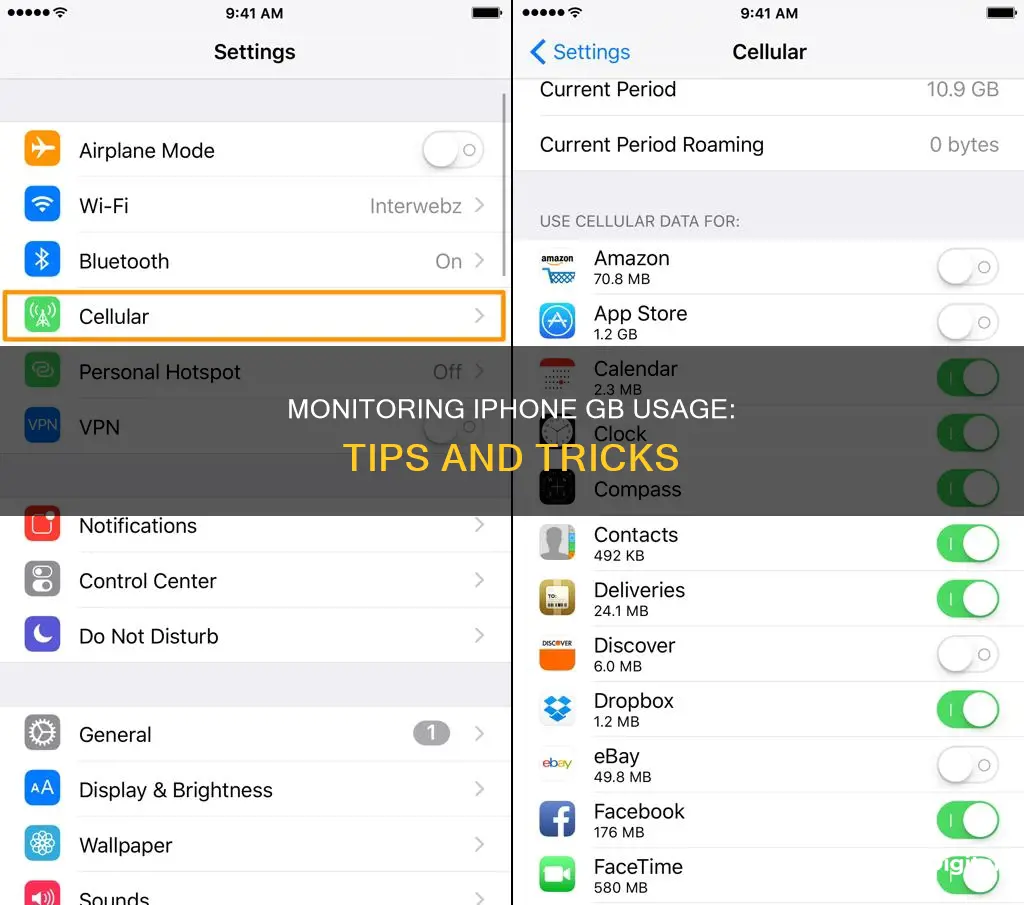 how to monitor gb usage on iphone