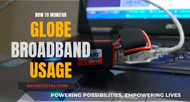 Monitoring Globe Broadband Usage: A Step-by-Step Guide