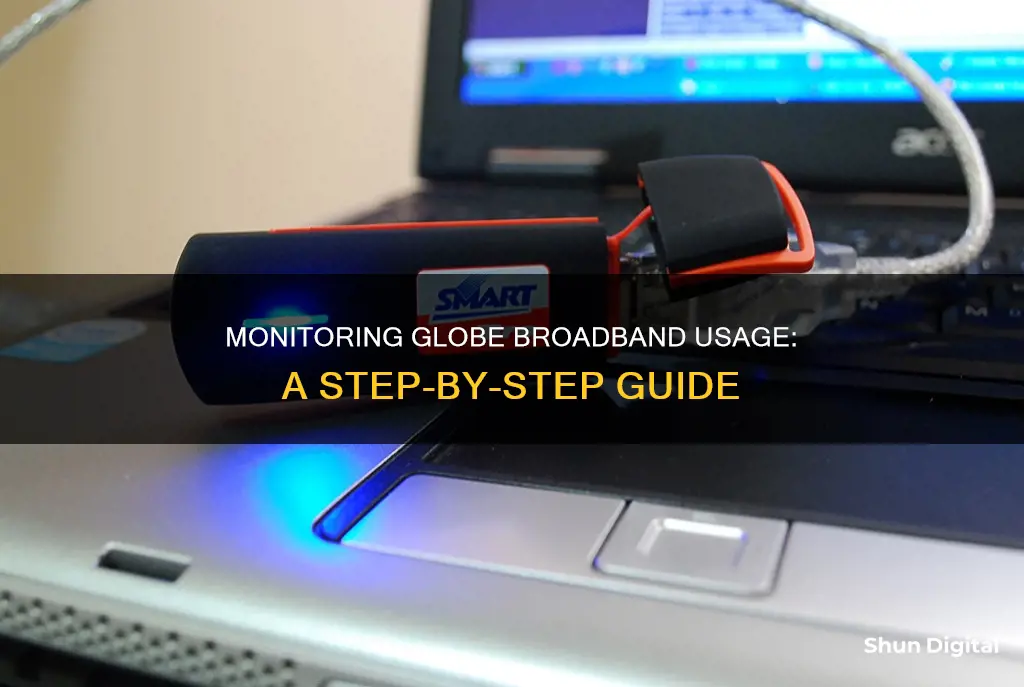 how to monitor globe broadband usage