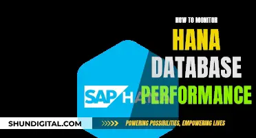 Monitoring HANA Database Performance: Key Strategies for Success