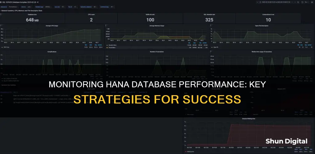 how to monitor hana database performance