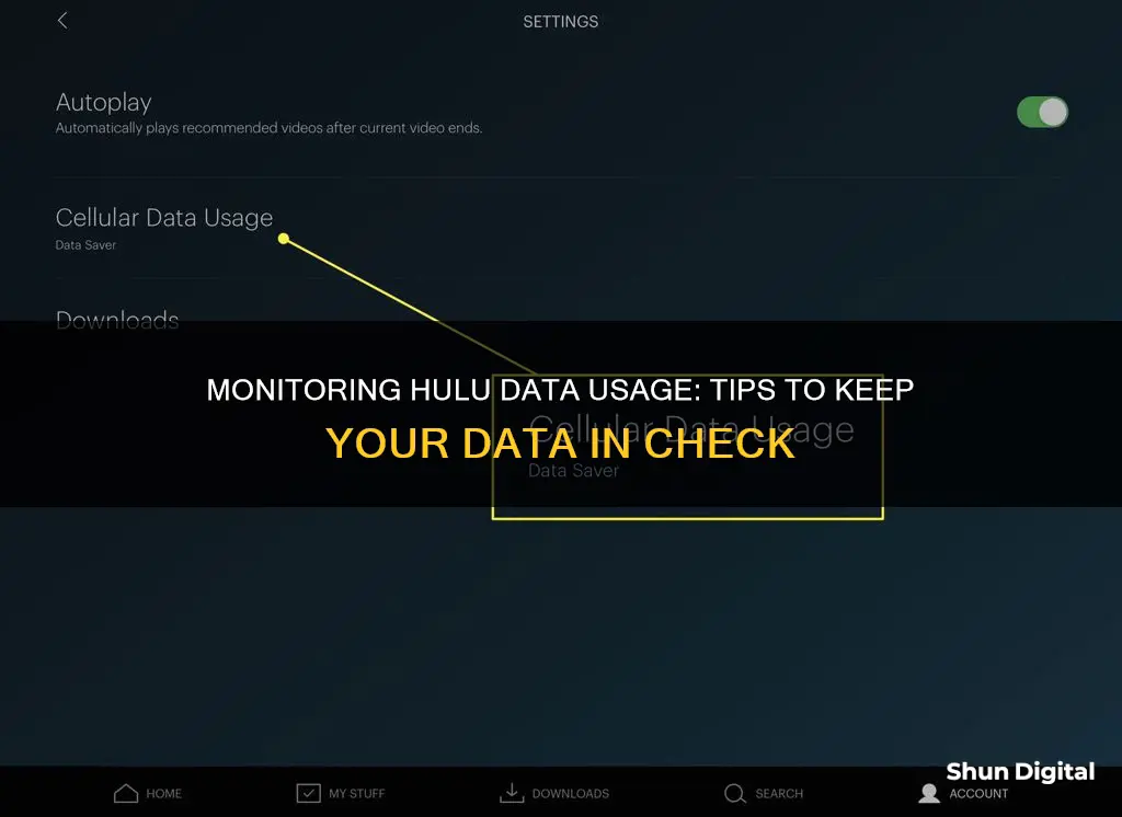 how to monitor hulu data usage