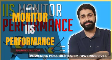 Monitoring IIS Performance: Tips for Optimal Server Management