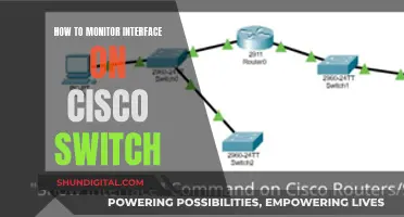 Monitoring Cisco Switch Interfaces: A Step-by-Step Guide