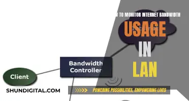 Monitoring Internet Bandwidth Usage: A Guide for LAN Admins