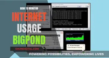 Monitoring Internet Usage: BigPond's Guide to Online Activity