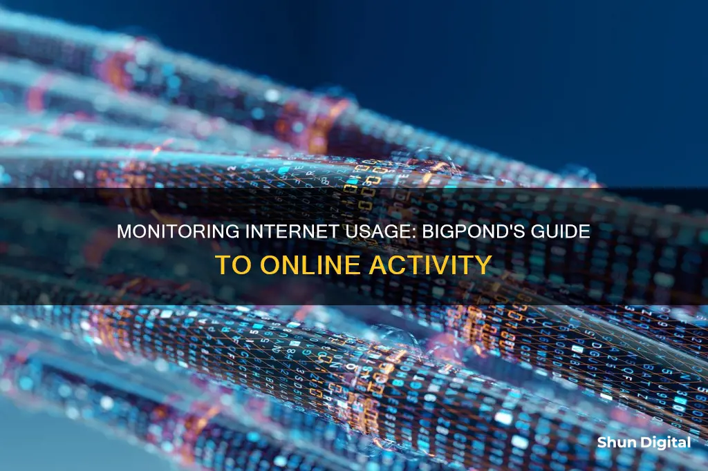 how to monitor internet usage bigpond