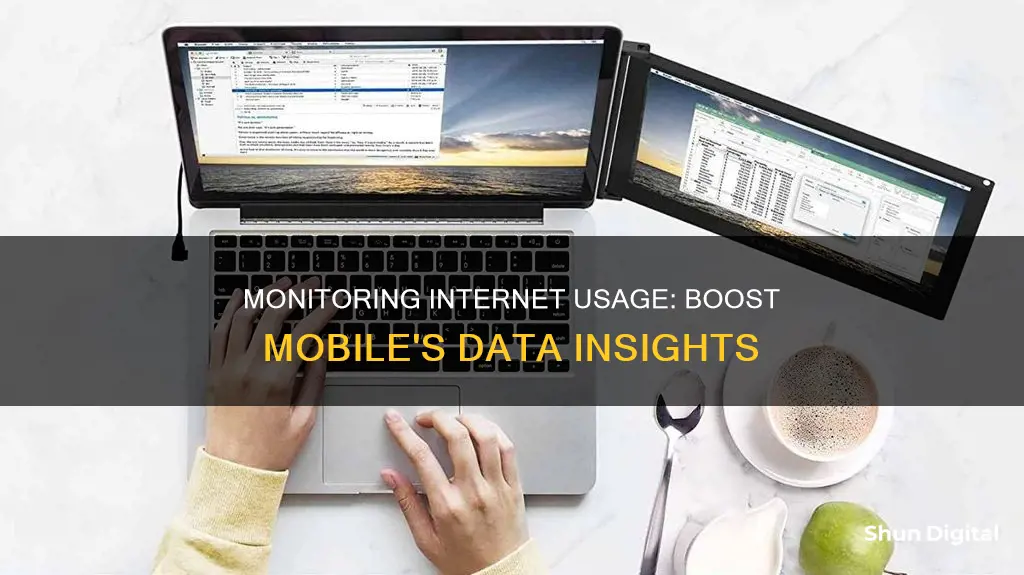 how to monitor internet usage boost mobile