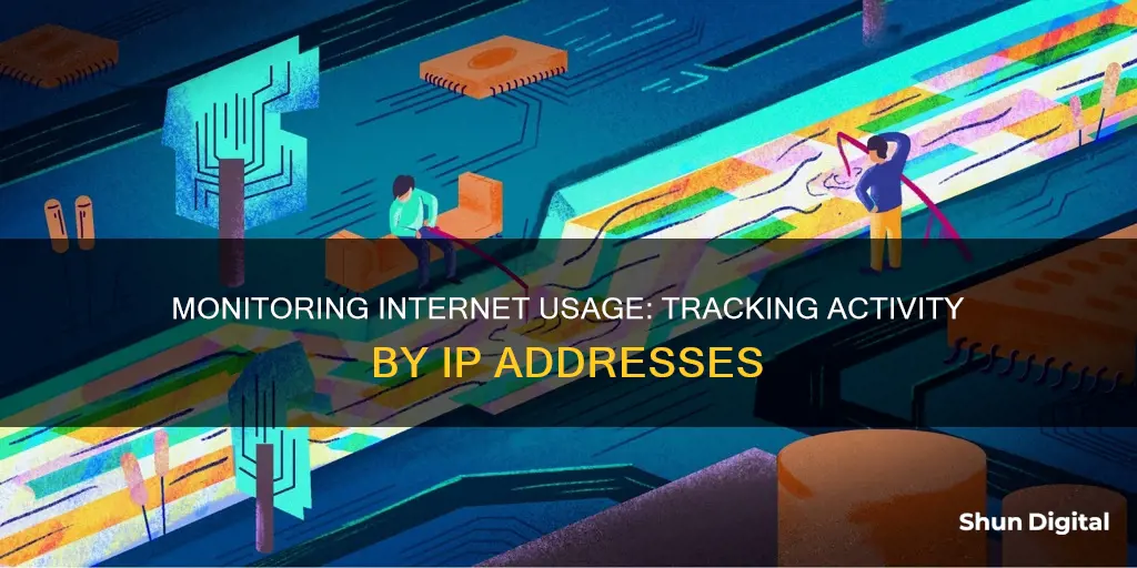 how to monitor internet usage by ip addresses