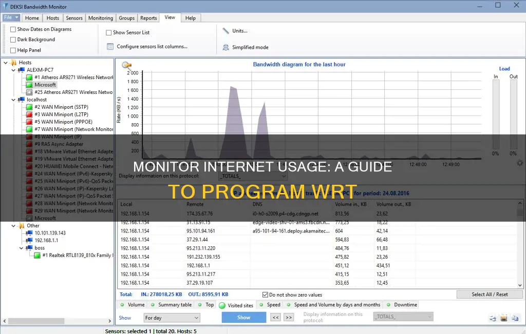 how to monitor internet usage by program wrt