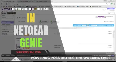 Monitoring Internet Usage: Netgear Genie's Parental Controls