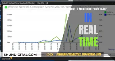 Monitoring Internet Usage: Real-Time Surveillance and Security