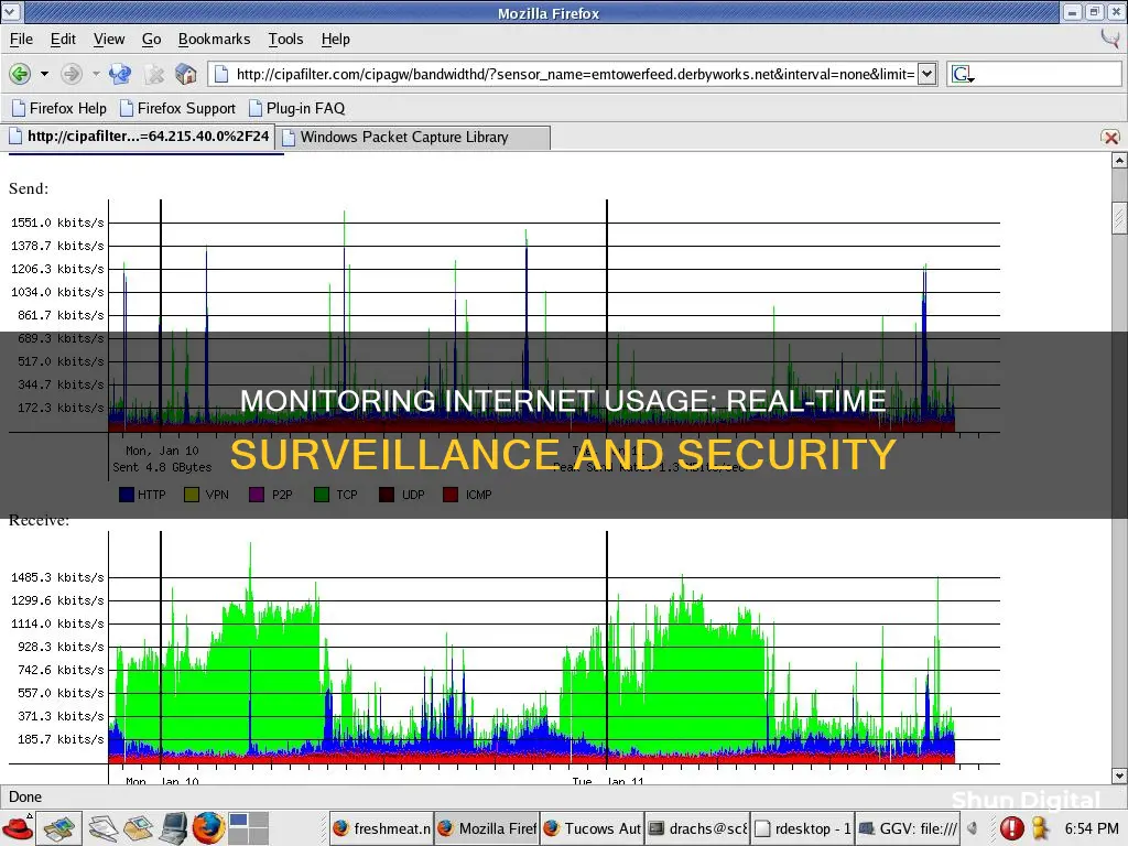 how to monitor internet usage in real time