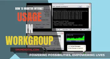 Monitoring Internet Usage: Workgroup Strategies for IT Pros