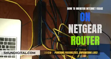 Monitoring Internet Usage: Netgear Router Settings Guide