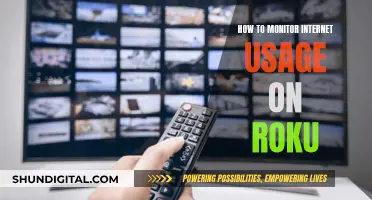 Monitoring Internet Usage on Roku: A Comprehensive Guide