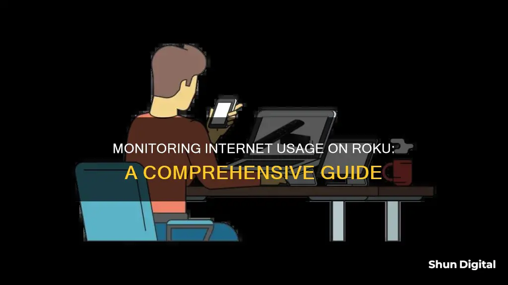 how to monitor internet usage on roku